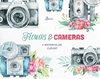 Hoja de Elementos Flowers & Cameras