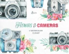 Hoja de Elementos Flowers & Cameras