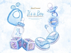 Colección It's A Boy - comprar online