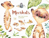 Hoja de Elementos Meerkats