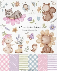 Colección Primavera Ni Estudio