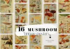 Hoja de Elementos Vintage Mushroom Posters