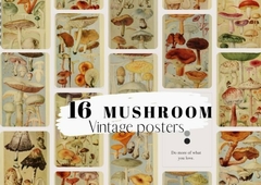 Hoja de Elementos Vintage Mushroom Posters