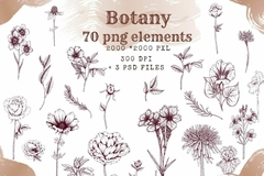 Hoja de Elementos Botany (Flores)