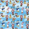 Colección Mickey & Amigos