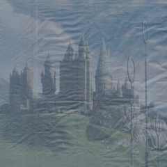 Colección Harry Potter (Lugares) en internet