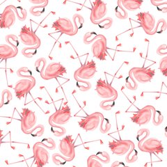 Colección Pink Flamingo