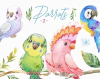 Hoja de Elementos Parrots 2