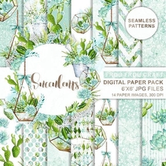 Colección Succulents