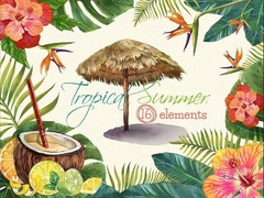 Hoja de Elememtos Tropical Summer