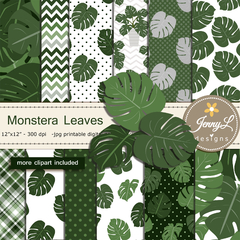 Colección Monstera Leaves