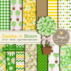 Colección Daisies in Bloom (Margaritas)