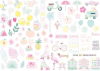 Die Cuts Miami Peach The Mint Feather