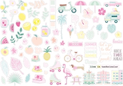 Die Cuts Miami Peach The Mint Feather