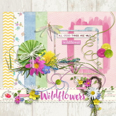 Colección Wildflowers