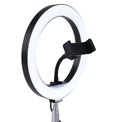Aro de Luz 26cm RFL - comprar online