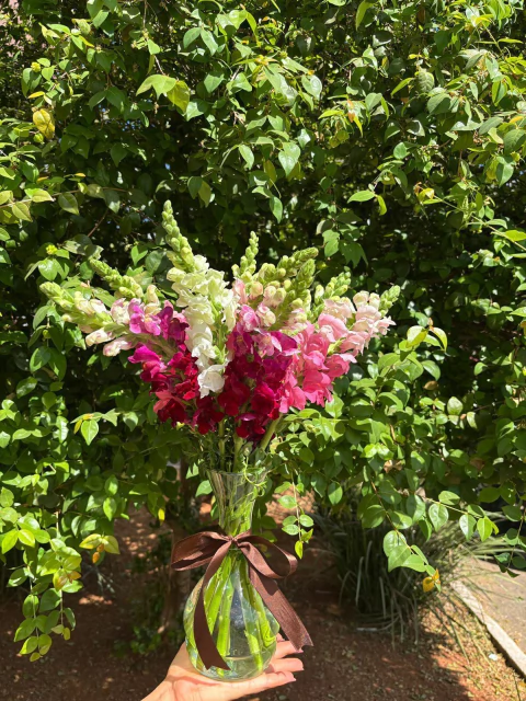 Vaso valentina - comprar online