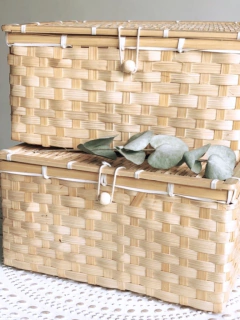 CAJA/BAÚL COZUMEL en internet