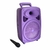 PARLANTE BLUETOOTH ORYX 8" en internet