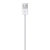 CABLE APPLE USB A LIGHTNING - tienda online