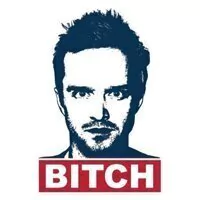 Sticker - Jesse Pinkman - Bitch - Breaking Bad