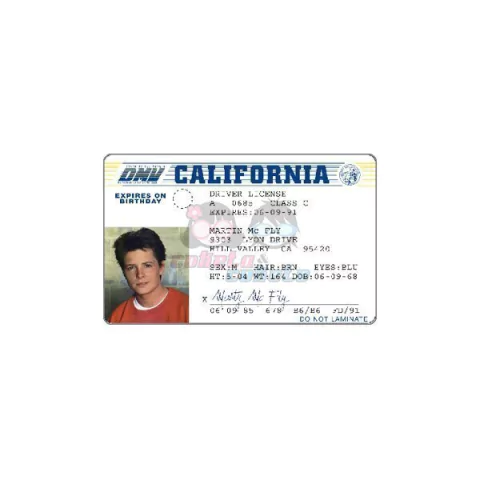 Credencial Marty Mc Fly - Volver al Futuro