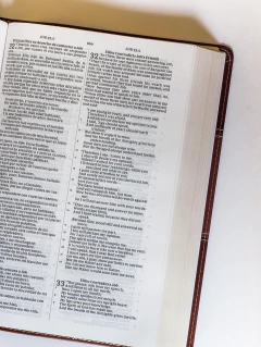 Biblia bilingüe RVR - NKJ piel italiana - comprar online