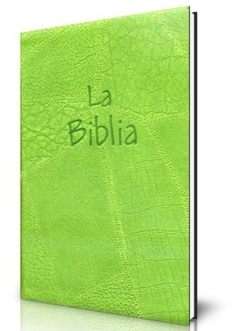 Biblia flexible cierre verde oliva - comprar online