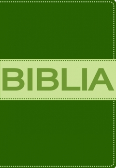 Biblia Contempo Ultrafina - Compacta - Verde NVI - comprar online