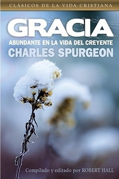 Gracia Abundante En La Vida - comprar online