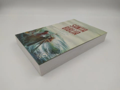 Biblia Para Niños Completa NTV Rustica