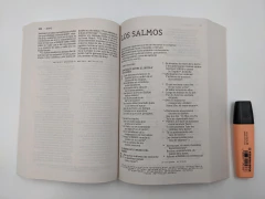 Biblia/NBLA/Económica Letra Grande - comprar online