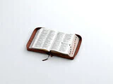 Biblia / Cierre Indice / Marron Pez, Reina Valera 1960, letra grande - comprar online
