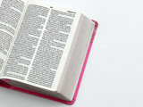 Biblia Compacta 10 puntos RV1960 imit piel flores fucsia, c planteado - El Maestro Tejedor