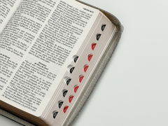 Biblia Tamaño Manual Letra Grande con Cierre e Índice Imitación Piel - Negro / Gris, RVR60 en internet