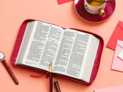 Biblia con Cierre Compacta 10 puntos RV1960 imit piel fucsia primaveral - comprar online