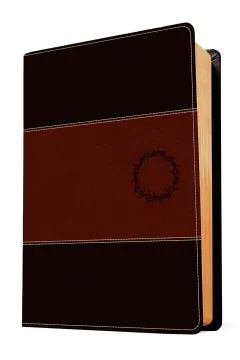 Biblia de Estudio del Diario Vivir NTV Letra Grande Café Café Claro SentiPiel