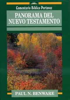 Panorama del nuevo testamento - comprar online