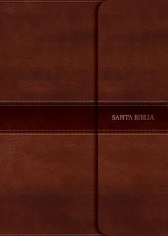 Biblia RVR60-Compacta-Letra Grande con iman - comprar online