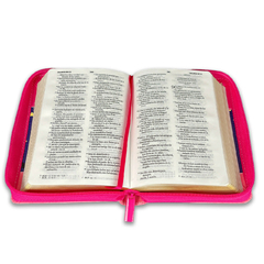 Biblia Primor Fucsia Lila Rosa Luna Buho RVR 1960 - comprar online