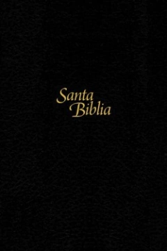 Biblia NTV-Edicion Personal/Letra Grande/Negro/Tapa Dura De Sentipiel - comprar online