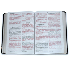 Biblia /RVR6085c /Letra Gigante 15 ptos./PJR Esplendor Puerta Canto Plateado - comprar online