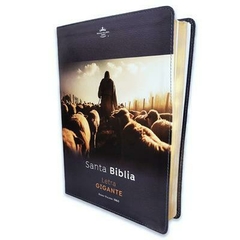 Biblia /RVR6085c Letra Gigante 15 ptos PJR Esplendor Buen Pastor