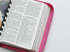 Biblia para niñas Héroes Rosa piel RVR - comprar online