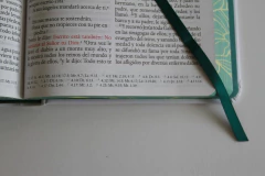 Imagen de Biblia nombres De Dios Verde Flores Canto Pintado
