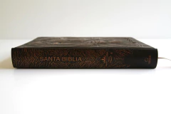 Biblia Bronce Leon de Juda RVR1960 Letra grande - El Maestro Tejedor