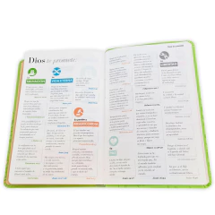 Biblia Verde Olivo letra grande RVR1960 - El Maestro Tejedor