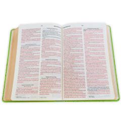 Biblia Verde Olivo letra grande RVR1960 en internet