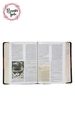 Biblia De Estudio/Holman Símil piel Terracota - tienda online