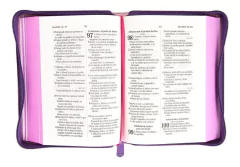 Santa Biblia Línea Expresiones. - El Maestro Tejedor